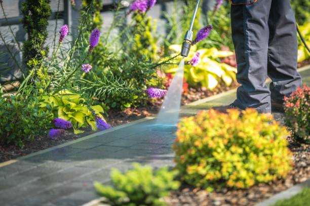 Best Sidewalk and Walkway Cleaning  in East Gaffney, SC
